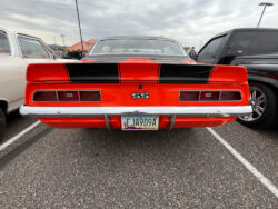 Year_End_Run_25_006